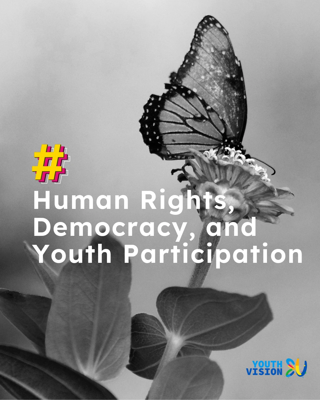 Article: Human Rights, Democracy, and Youth Participation: How They Belong Together